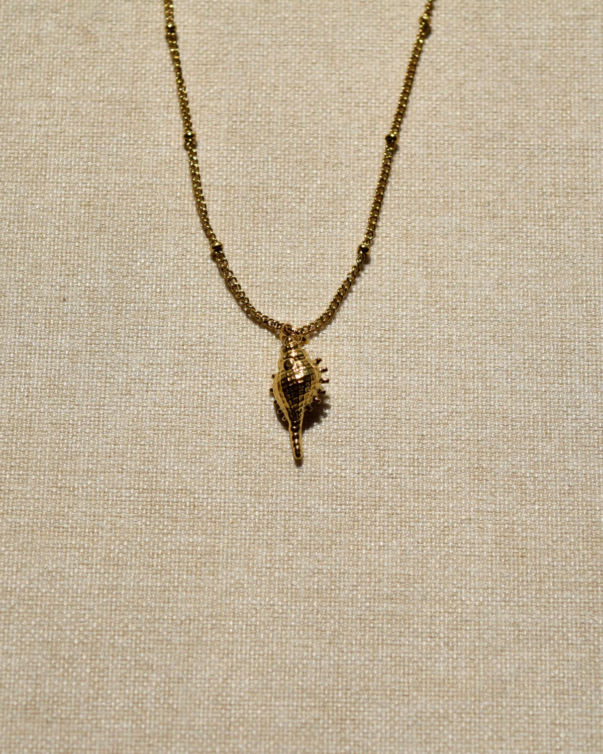 CONCH SHELL Charm