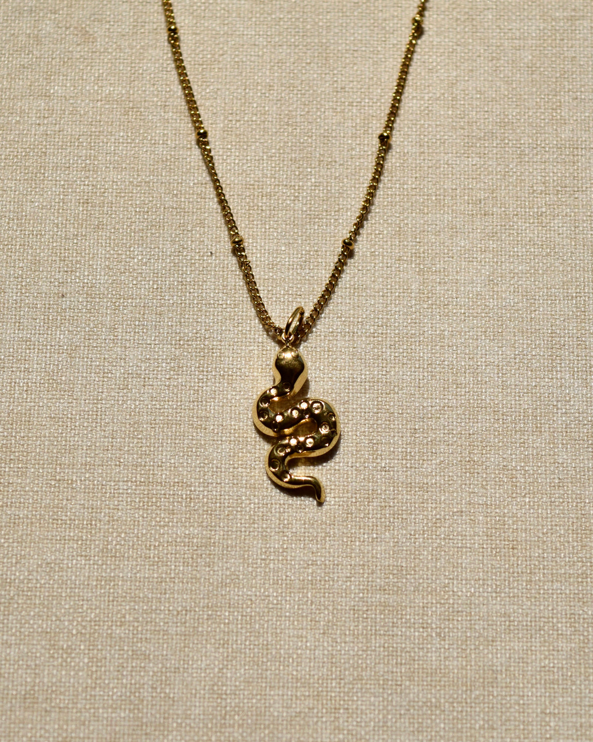 SERPENTE Charm