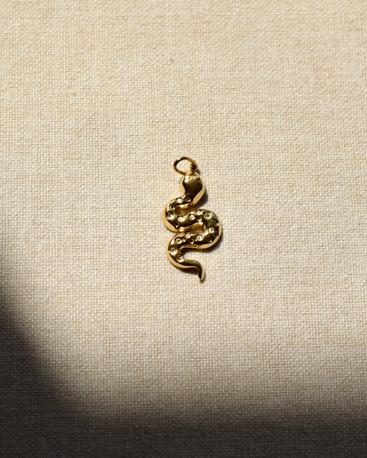 SERPENTE Charm